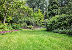 Optimiser l'expérience du jardin à Saint-Juire-Champgillon